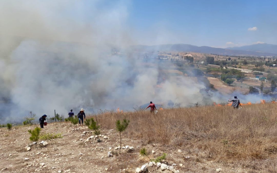 Agradecimiento por sofocar el incendio en los parajes de la comunidad.